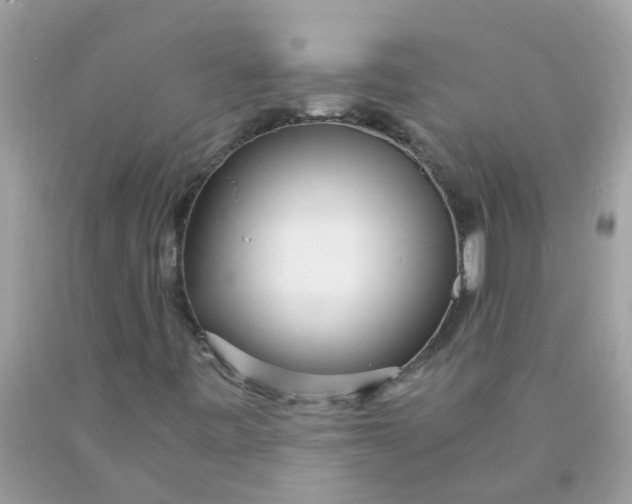 X0000089891443200707262220