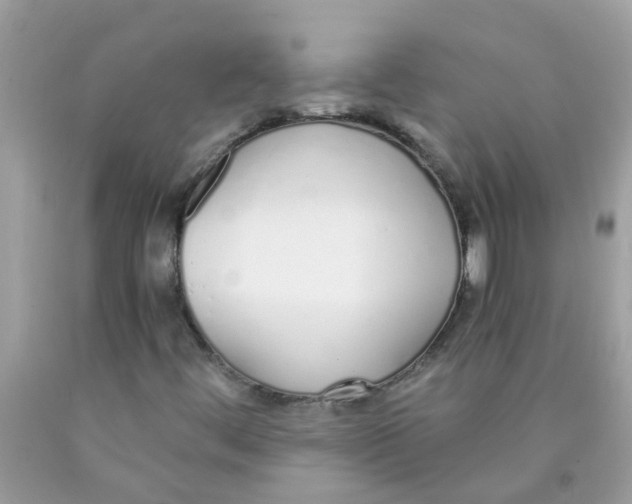 X0000089891444200707262220