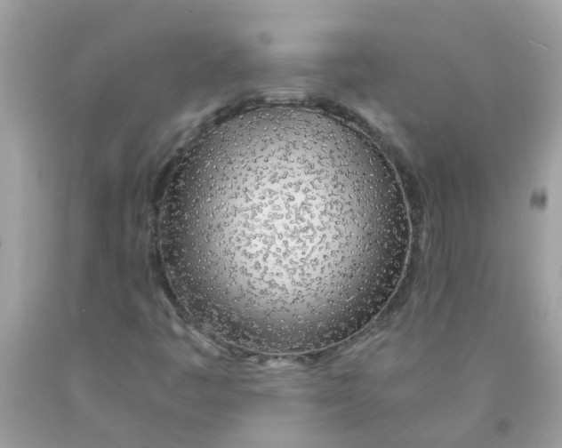 X0000089891445200707262220