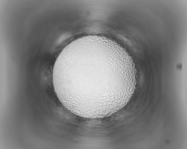 X0000089891446200707262220