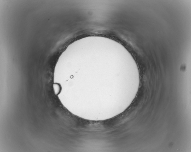 X0000089891447200707262220