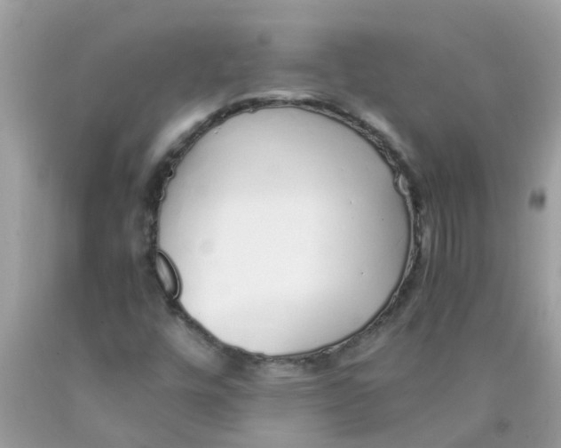 X0000089891448200707262220