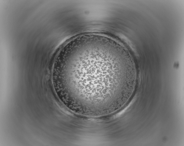 X0000089891449200707262220