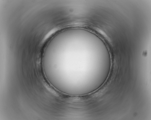 X0000089891450200707262220