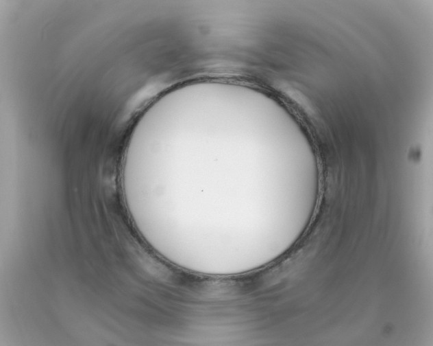 X0000089891451200707262220