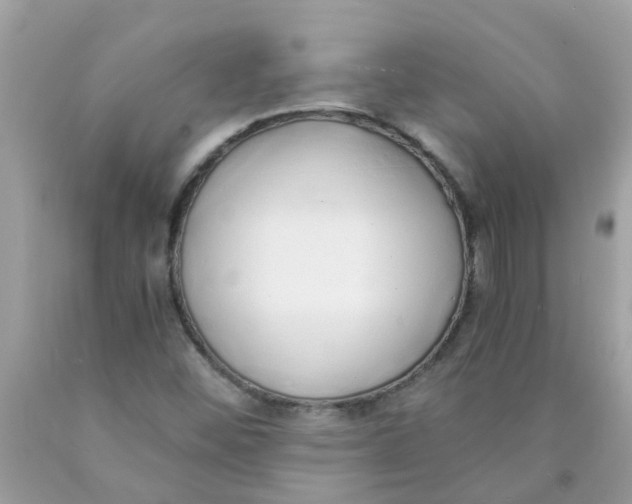 X0000089891452200707262220