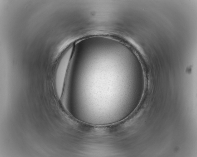 X0000089891453200707262220