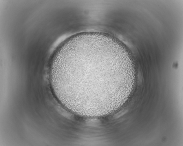 X0000089891454200707262220