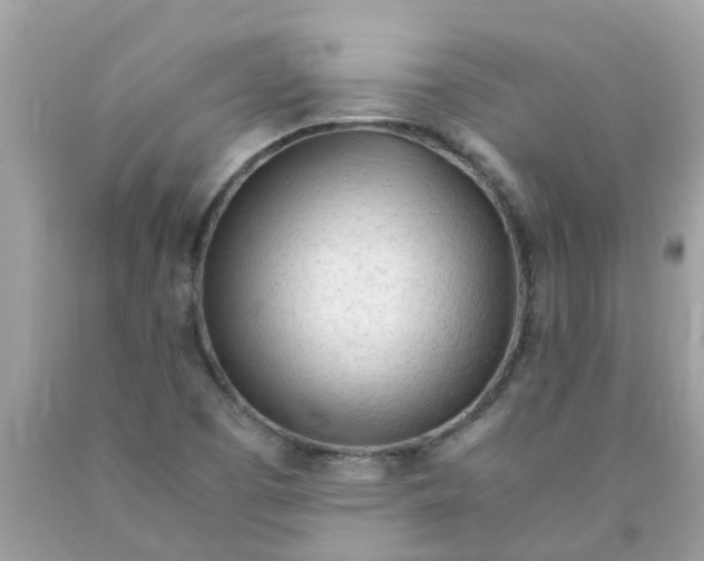 X0000089891457200707262220