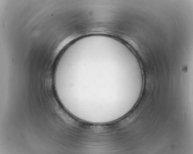 X0000089891458200707262220