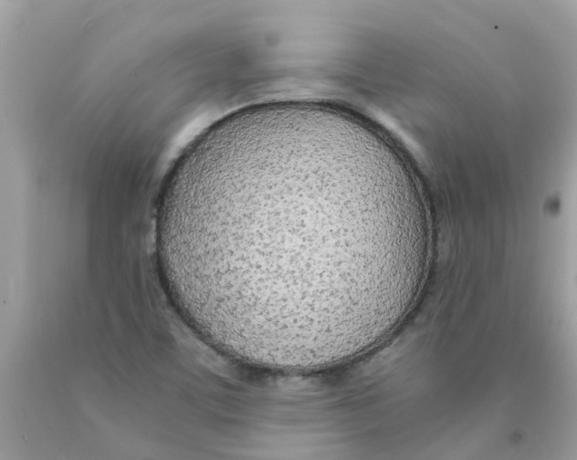 X0000089891459200707262220