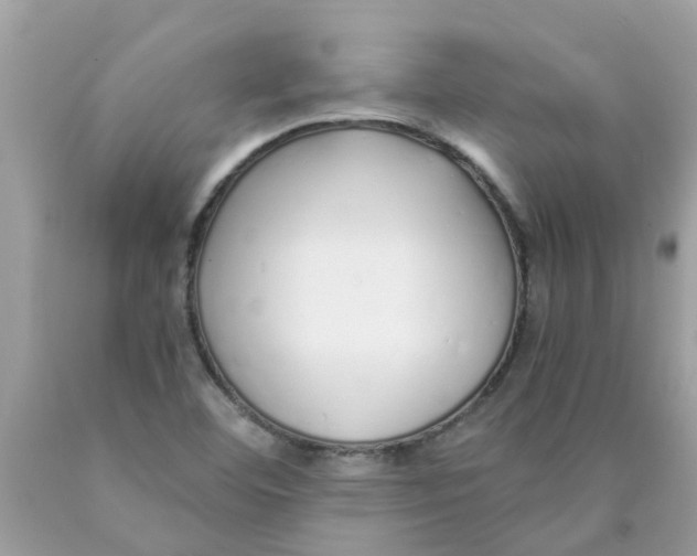 X0000089891460200707262220