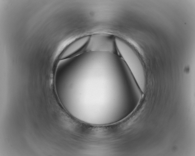 X0000089891461200707262220