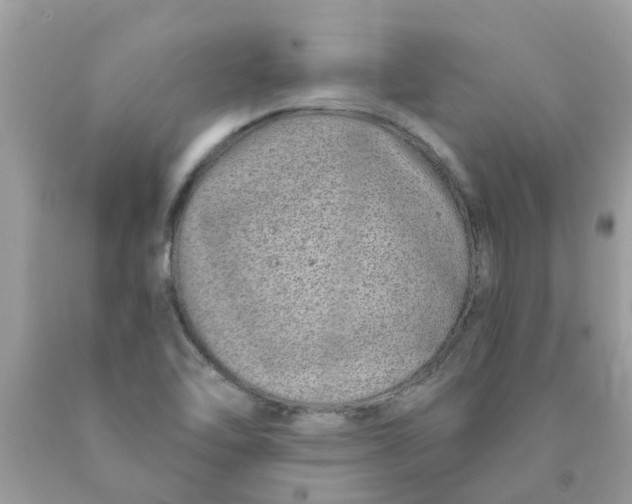 X0000089891462200707262220