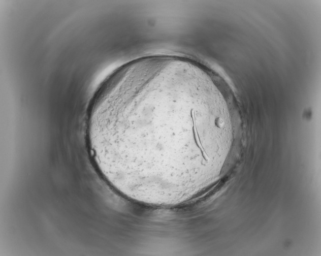 X0000089891463200707262220