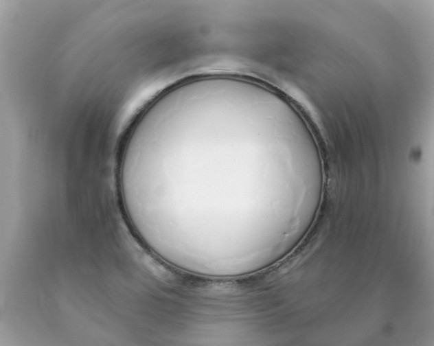 X0000089891464200707262220