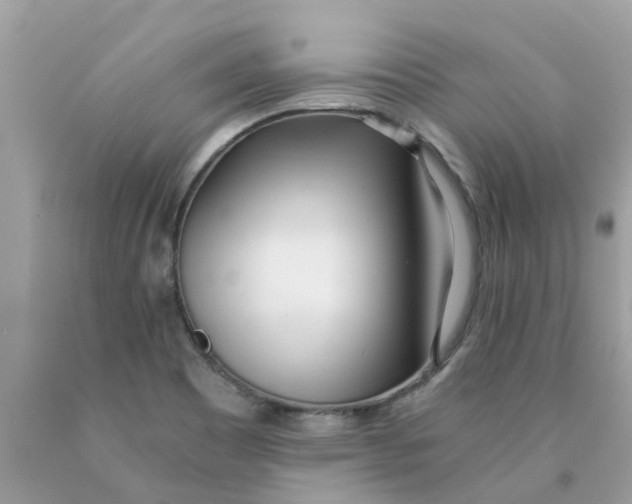 X0000089891465200707262220