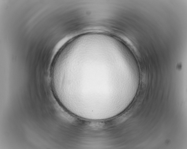 X0000089891466200707262220