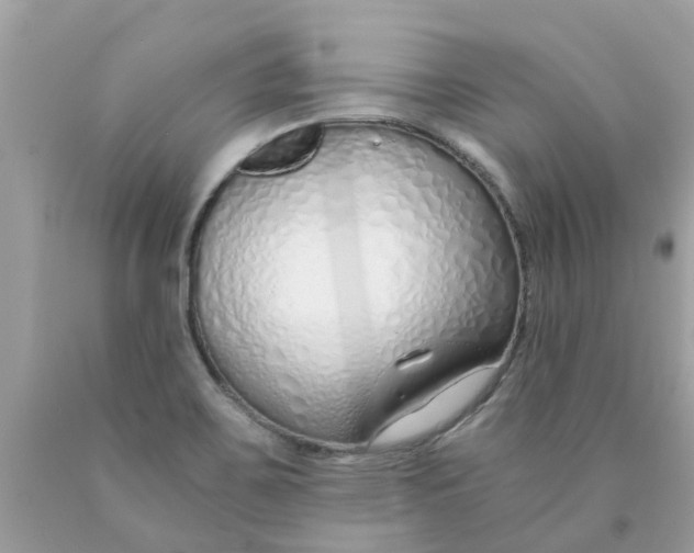 X0000089891467200707262220