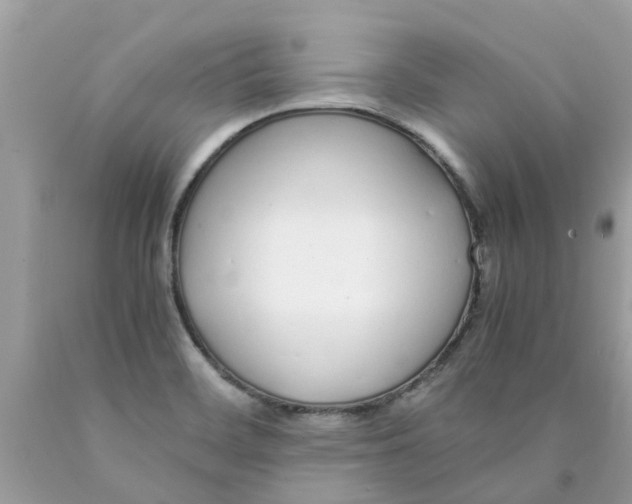 X0000089891468200707262220