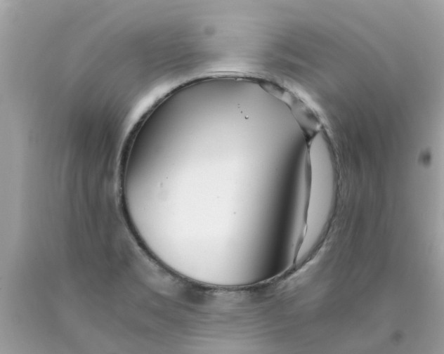 X0000089891469200707262220