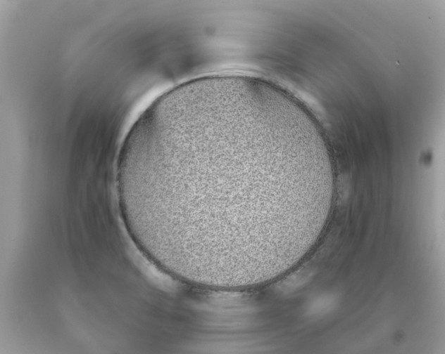 X0000089891470200707262220