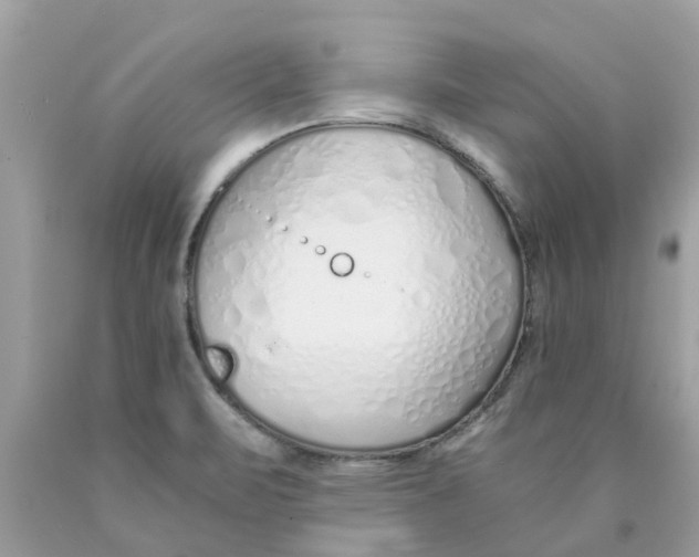 X0000089891471200707262220