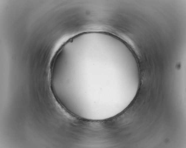 X0000089891472200707262220