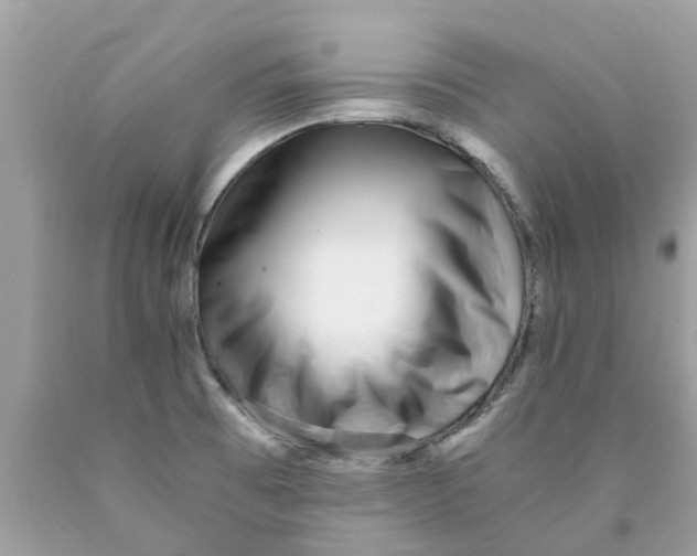 X0000089891473200707262220