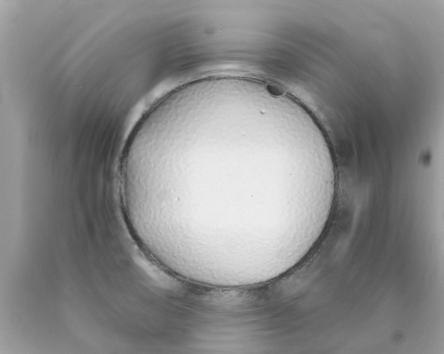 X0000089891474200707262220