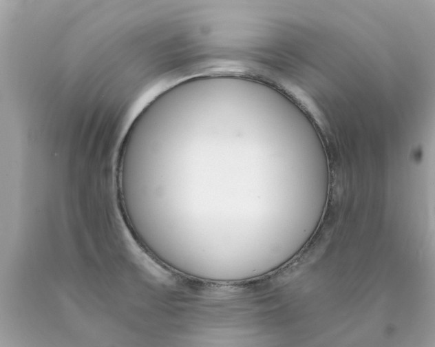 X0000089891475200707262220