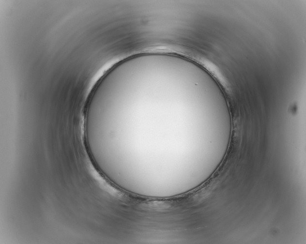 X0000089891476200707262220