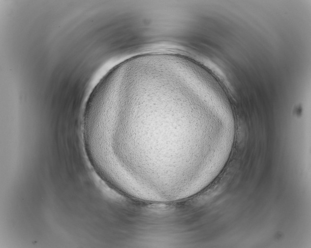 X0000089891478200707262220