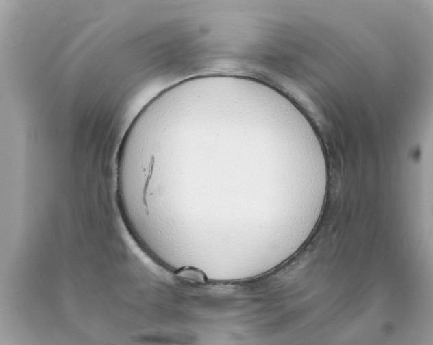 X0000089891479200707262220