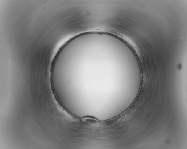 X0000089891480200707262220