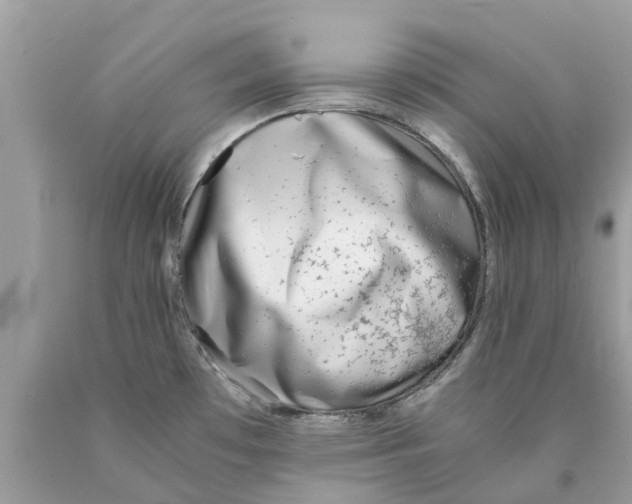 X0000089891481200707262220