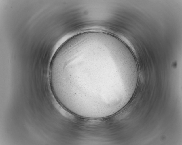 X0000089891482200707262220