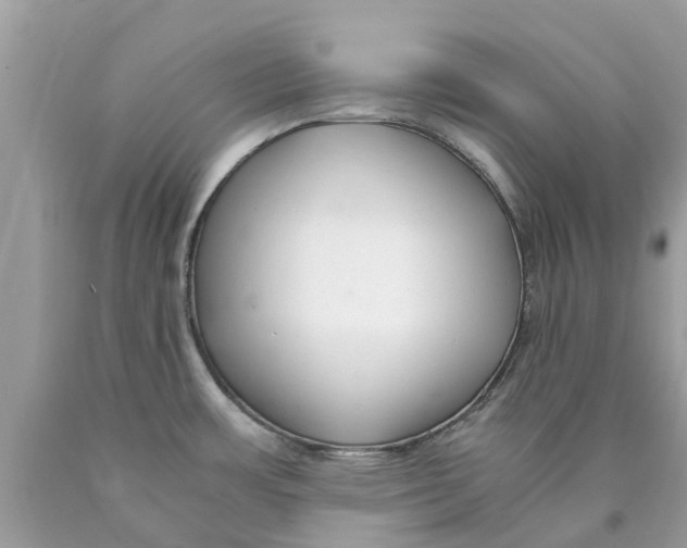 X0000089891483200707262220