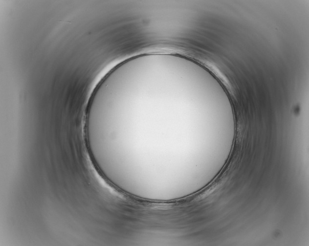 X0000089891484200707262220