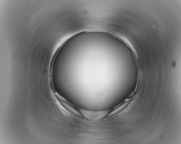 X0000089891485200707262220