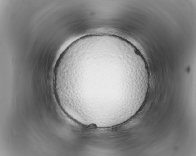 X0000089891486200707262220