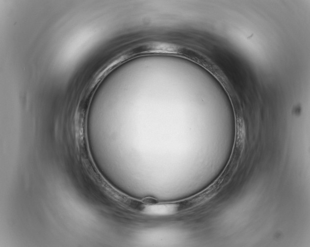 X0000089891487200707262220