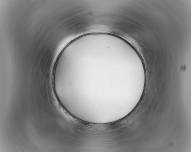 X0000089891488200707262220