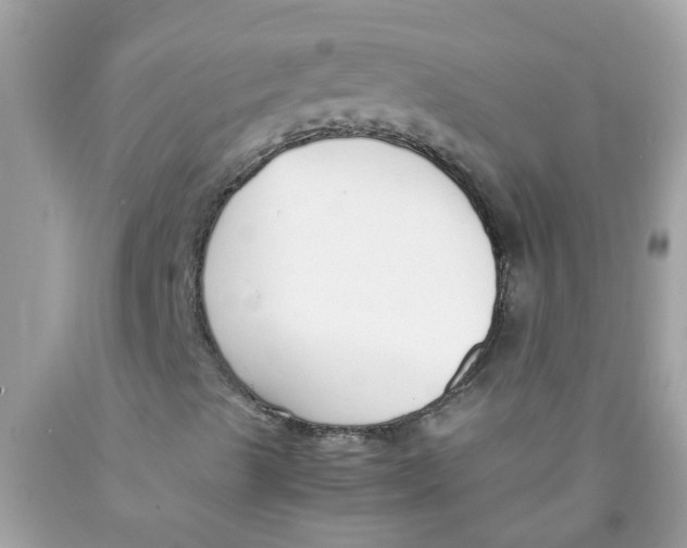 X0000089891489200707262219