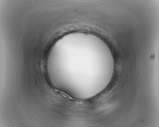 X0000089891490200707262219