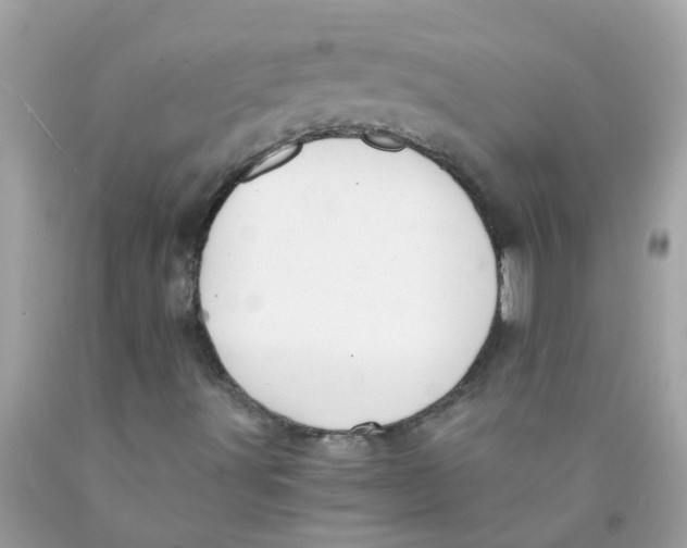 X0000089891491200707262219