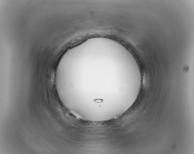 X0000089891492200707262219