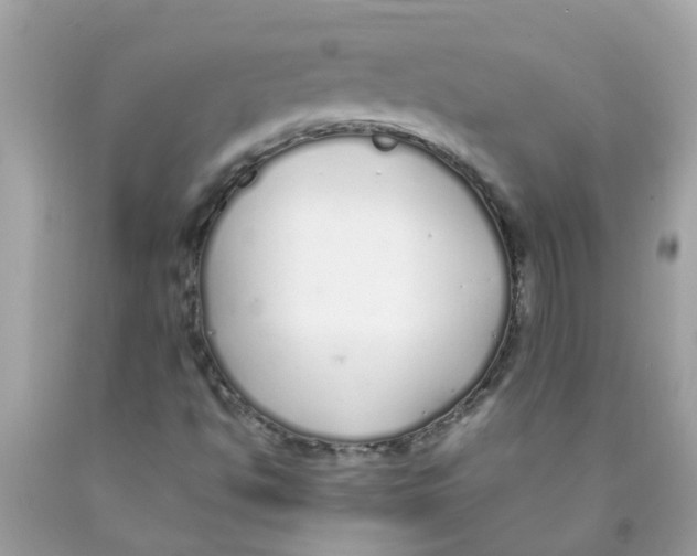 X0000089891494200707262219