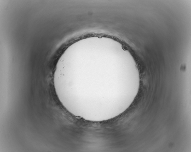 X0000089891495200707262219