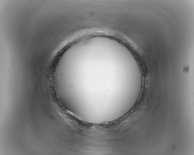 X0000089891496200707262219